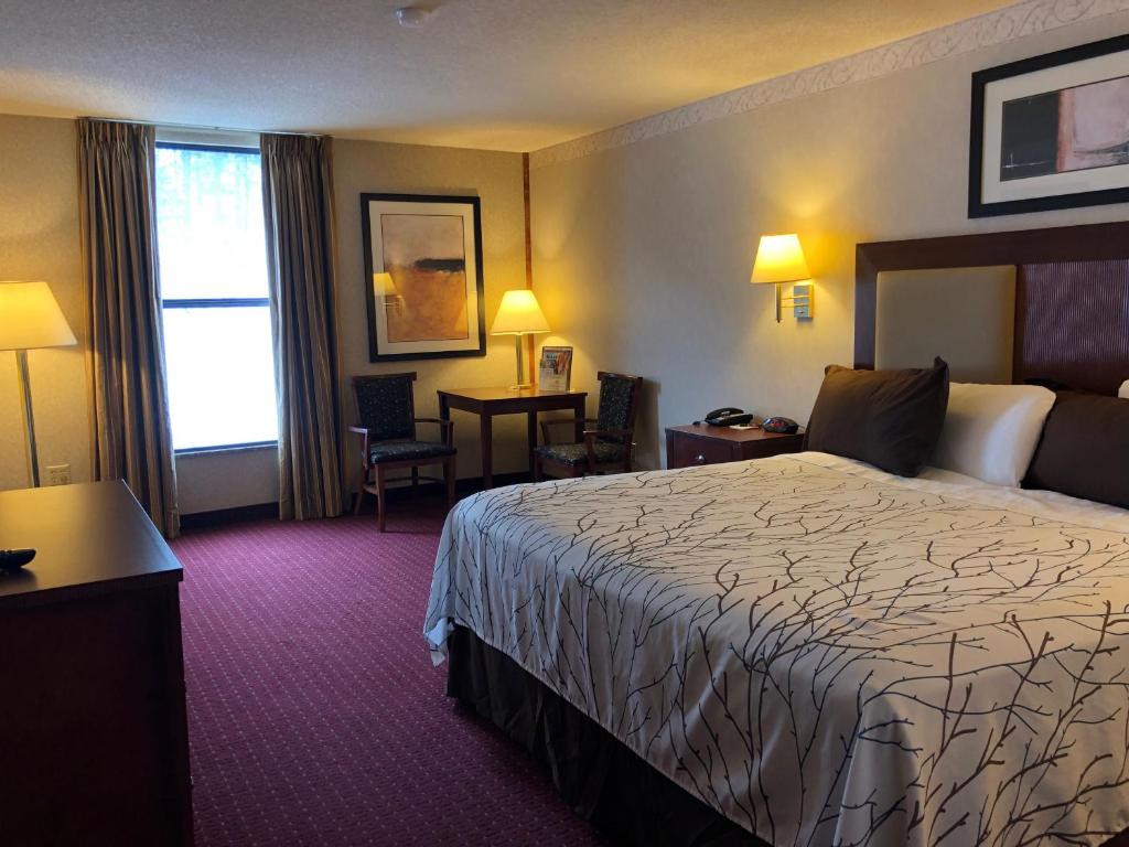 Mineral Palace Hotel & Gaming - Image 8