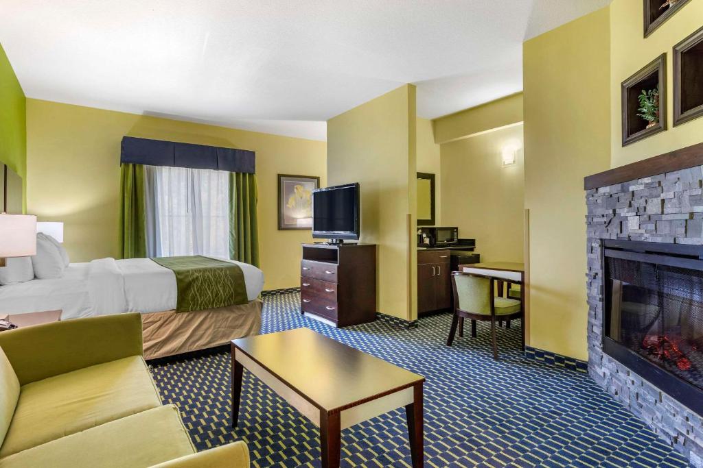 Comfort Inn Athens I - 75 - Image 6