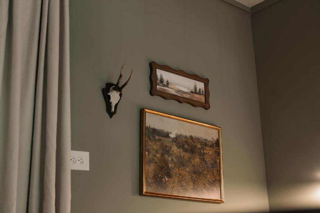 LMI -15- Laurel Falls Room: Summers Night - Image 6