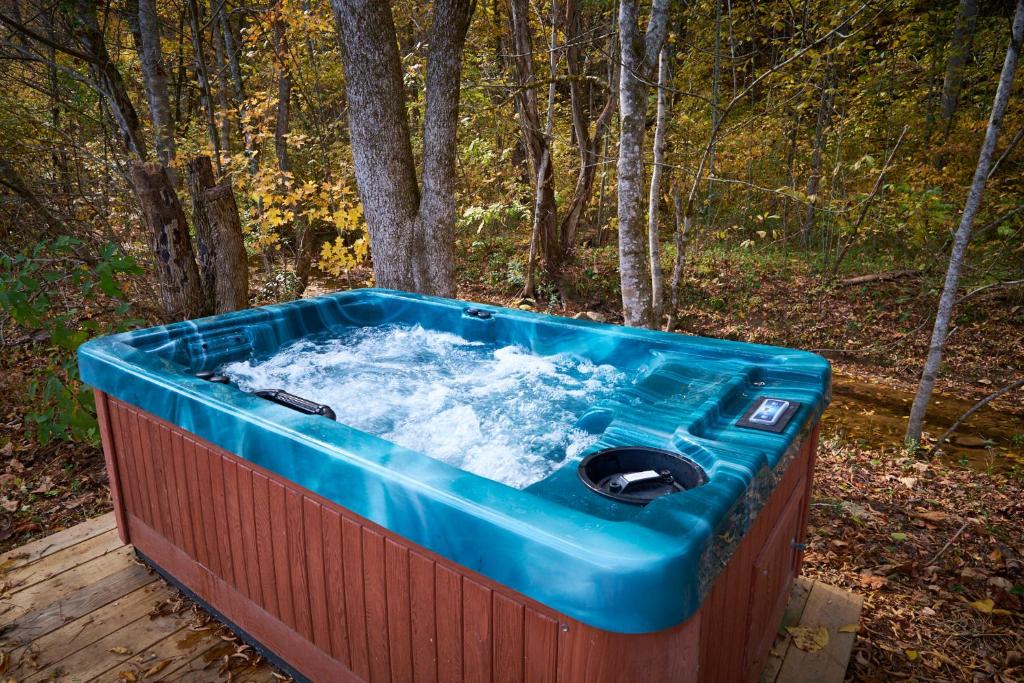 Hot Tub (Jacuzzi) - Photo 5