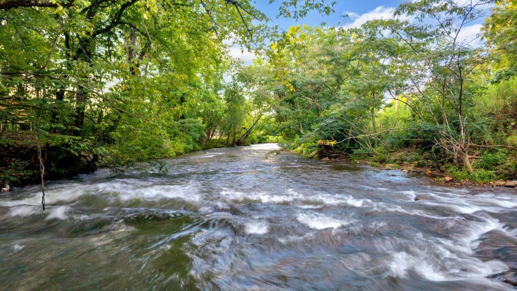 Creekwalk Inn Bed and Breakfast with Cabins - Image 8