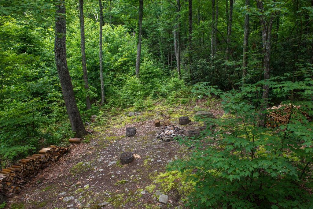 Chief Big Log Cabin - Image 5