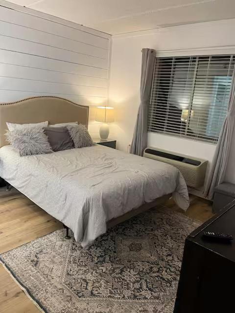 Bears Abound - Image 8