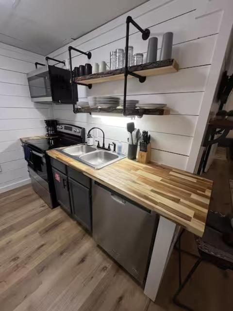 Bears Abound - Image 5