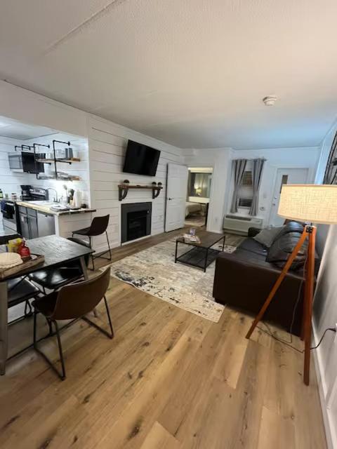 Bears Abound - Image 6