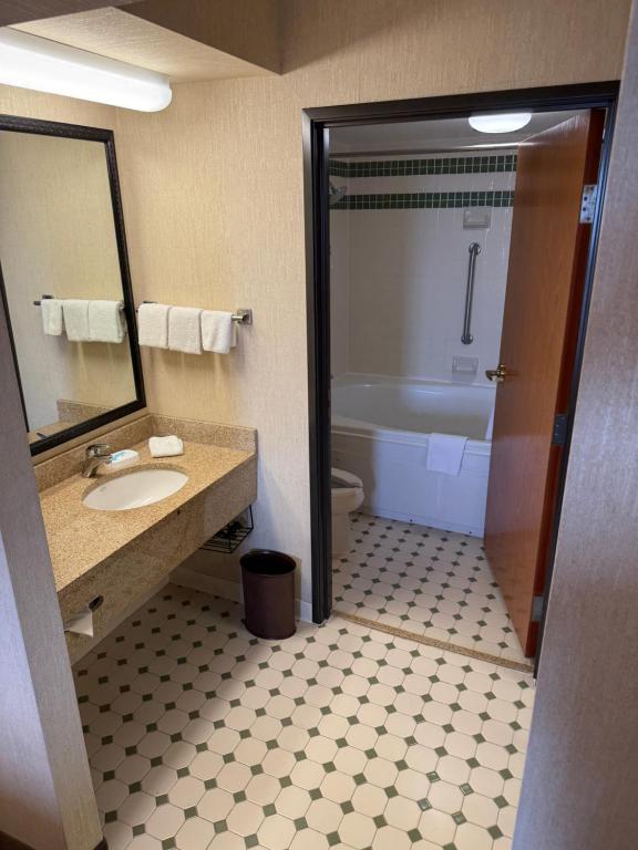 McAllen Plaza Hotel and Suites