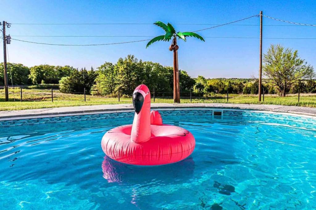 Saint Jo Pool Hot Tub Great Views Near Winery