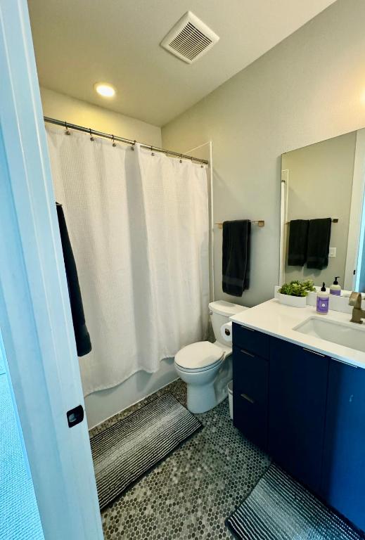 Upscale Modern Hill Country Home! Has it ALL!