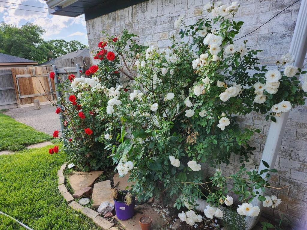 Family Retreat with Hot Tub, Piano, Games Room & Playhouse Medi Center Location - Image 5