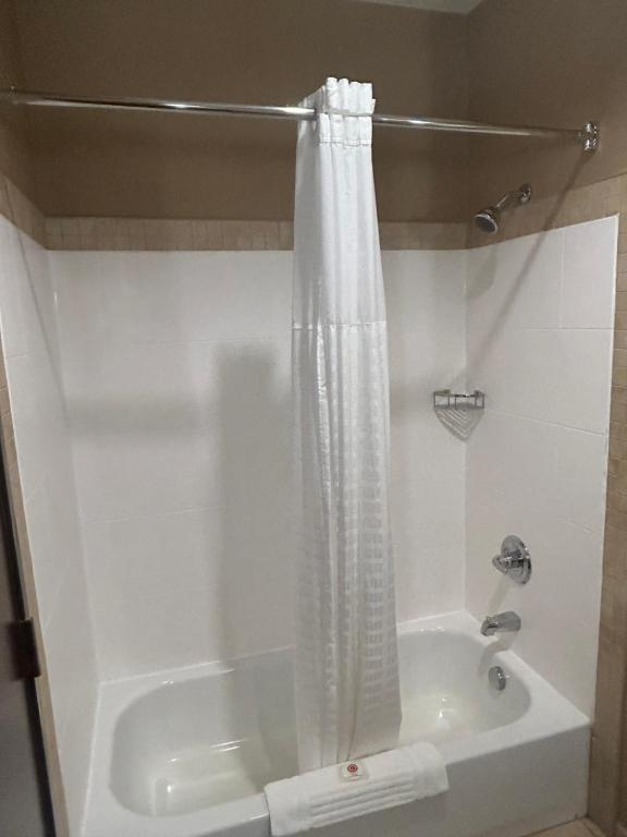 Comfort Suites Palestine