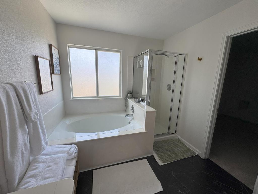 Spice Spring - Image 8