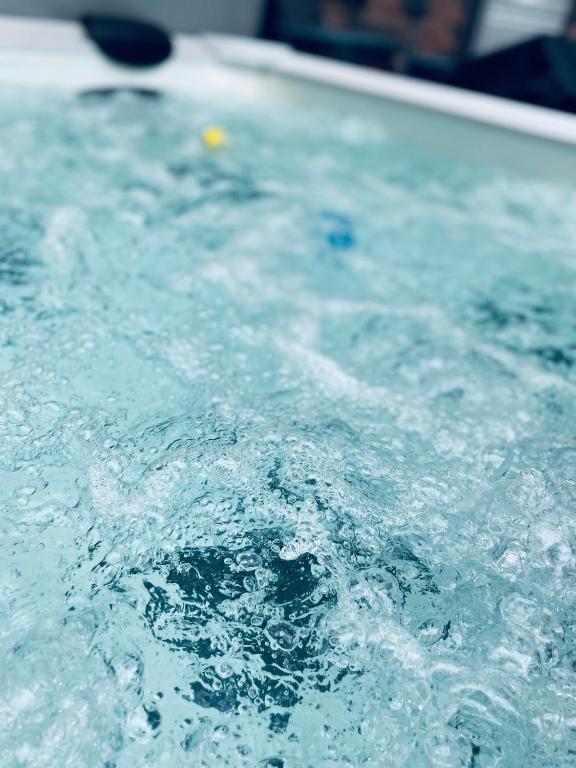 Hot Tub (Jacuzzi) - Photo 11