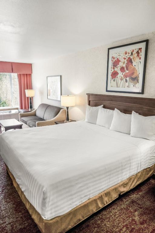 Crystal Inn Hotel & Suites - Salt Lake City - Image 8