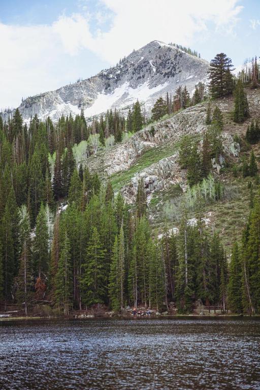 Majestic Suite 5 Bedroom Brighton Chalet - Image 6