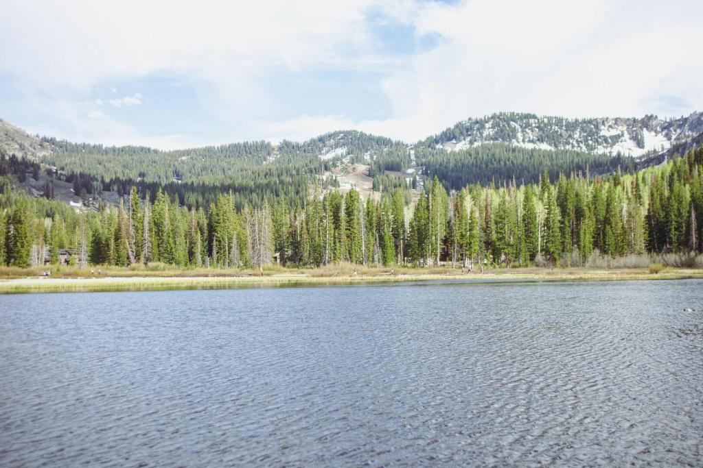 Majestic Suite 5 Bedroom Brighton Chalet - Image 4