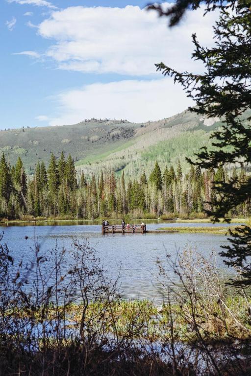 Majestic Suite 5 Bedroom Brighton Chalet - Image 5