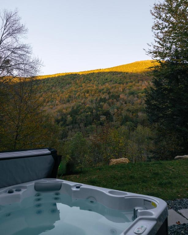 Hot Tub (Jacuzzi) - Photo 5