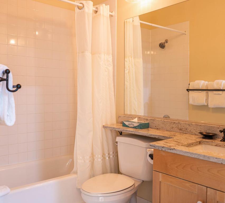 Long Trail House Condominiums at Stratton Mountain Resort - Image 8