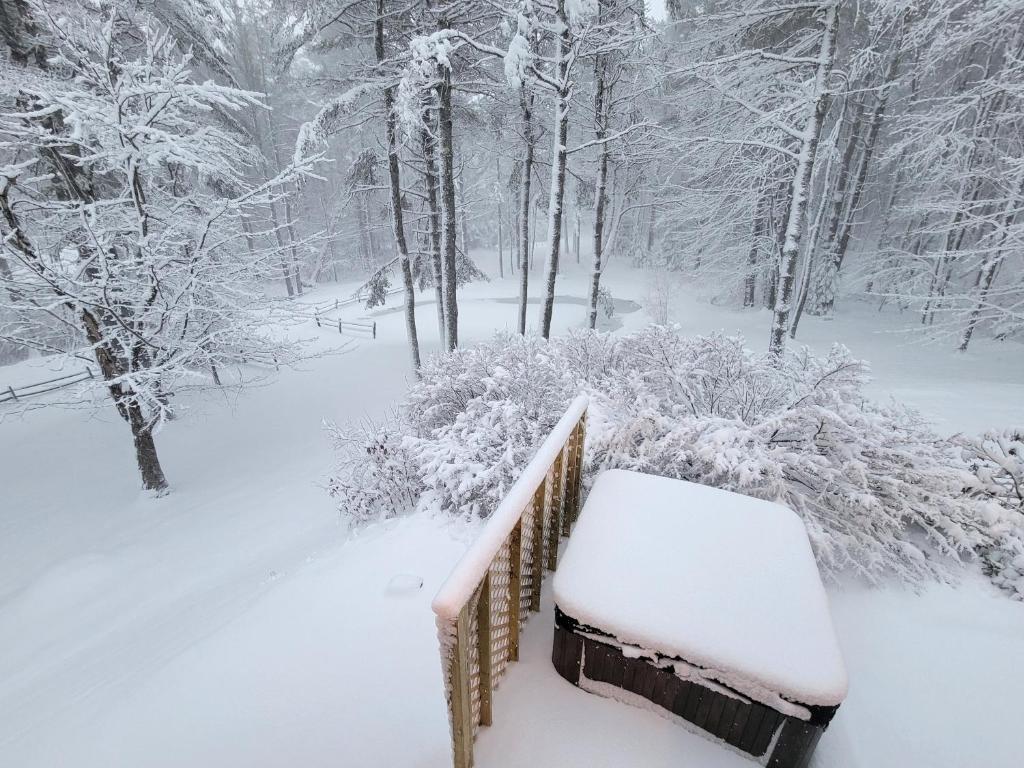 Hot Tub (Jacuzzi) - Photo 3