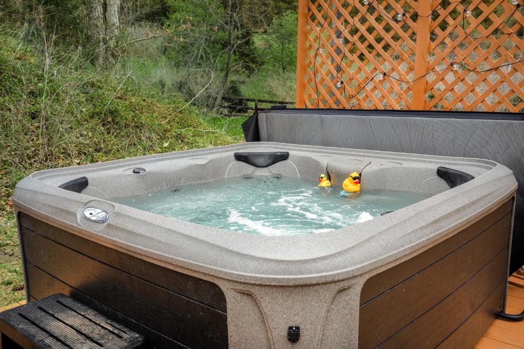Hot Tub (Jacuzzi) - Photo 4