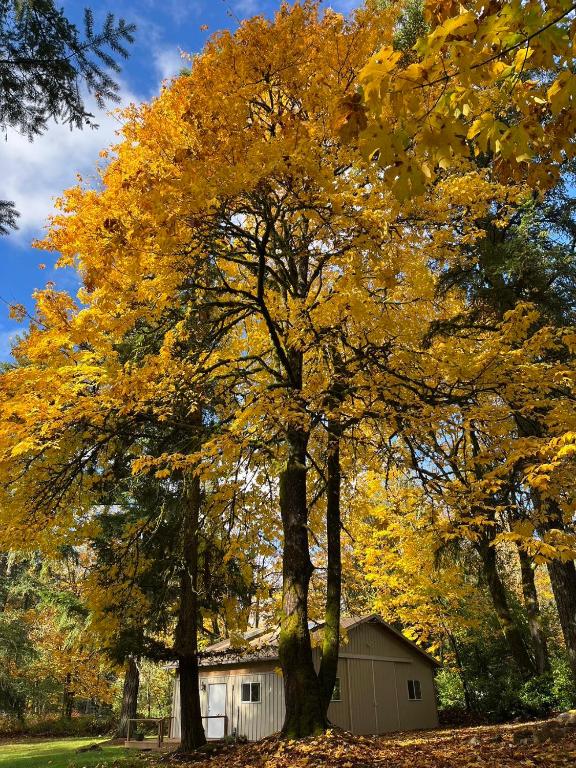 Whispering Pines Farmhouse