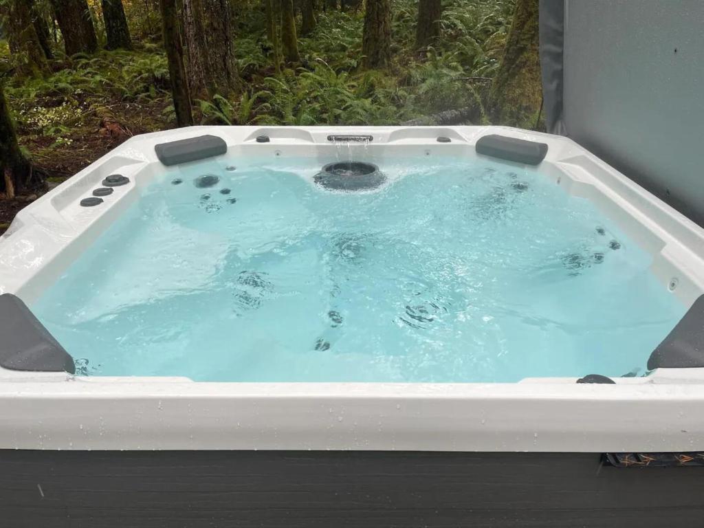 15GS - Hot Tub - WIFI- Pets Ok