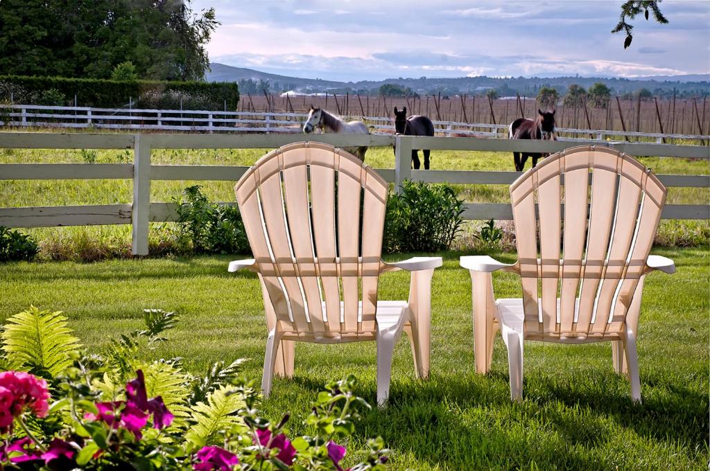 Cozy Rose Inn - Image 7