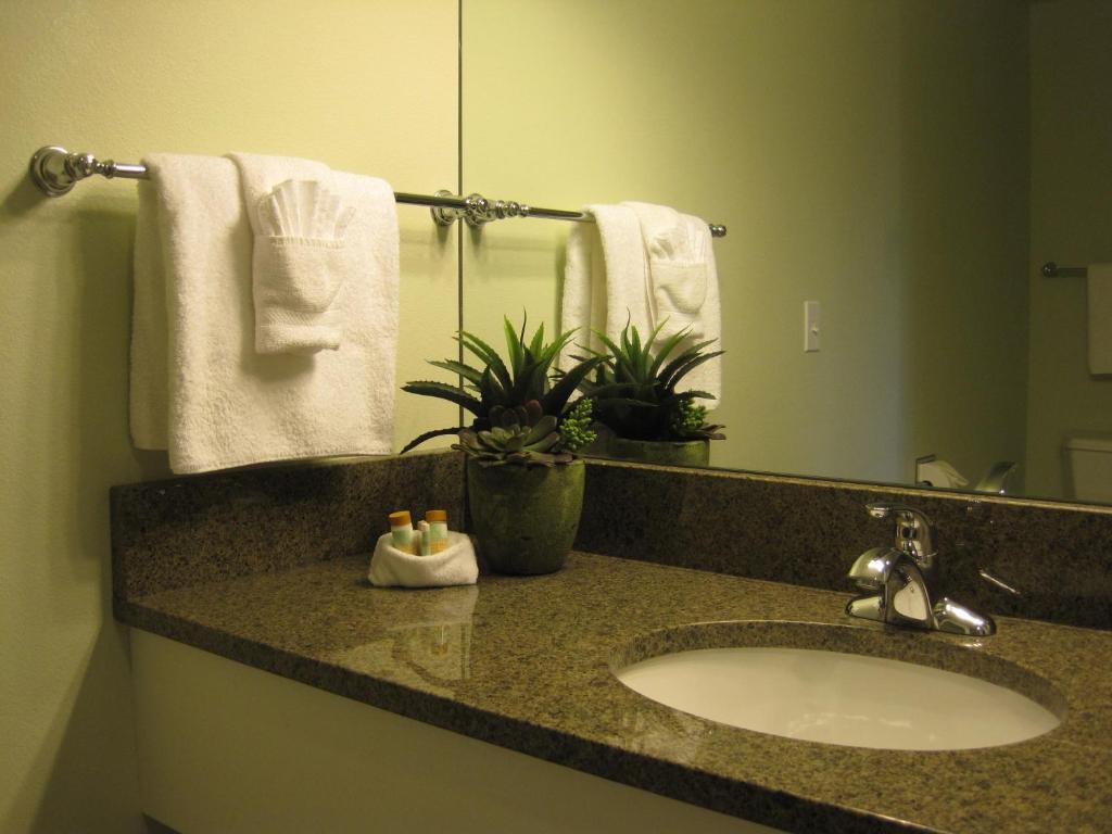 Anacortes Ship Harbor Inn - Image 8