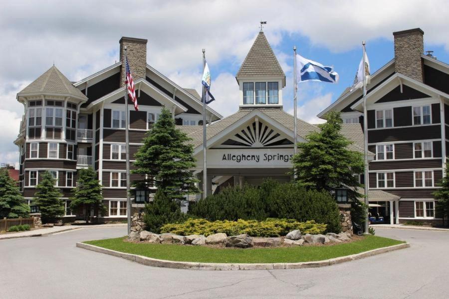 Allegheny Spg - Cozy Condo Ski from our patio - Image 5