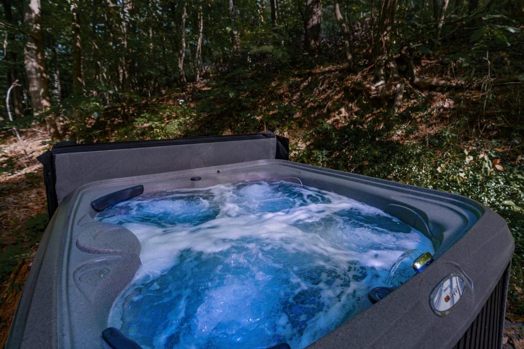 Hot Tub (Jacuzzi) - Photo 4