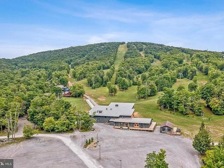 The Magic Teacup - Image 6