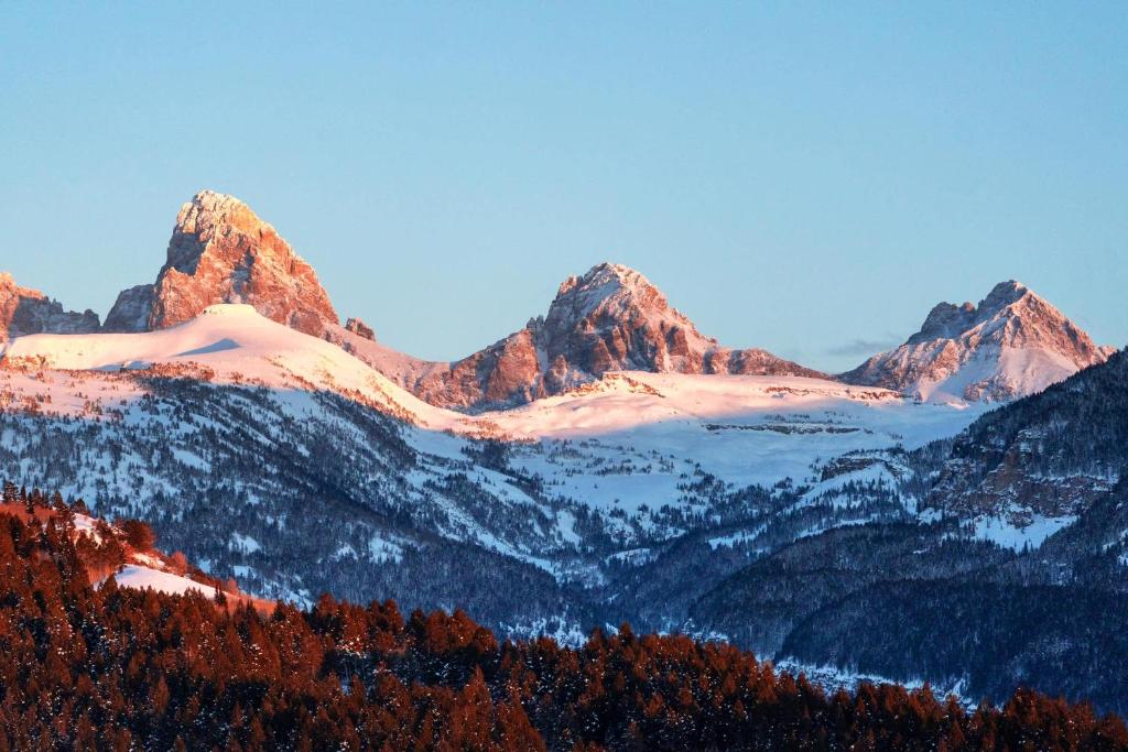 Basecamp Stays: Upscale Getaway Shuttle Hot Tubs - Image 4