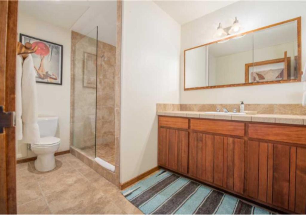 Bray House - Ski-in Ski-out family home - Image 8